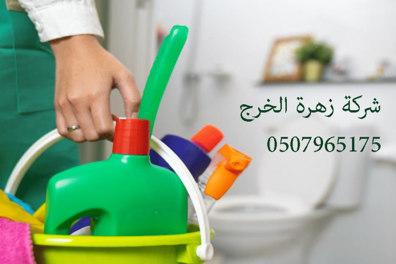 عاملات منزليه بالساعة بالخرج
