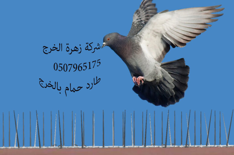 شركة طارد الحمام بالخرج
