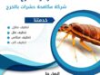 شركة مكافحة النمل الابيض بالخرج
