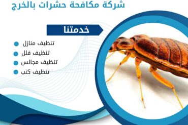 شركة رش مبيدات بالخرج