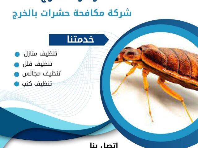 شركة مكافحة النمل الابيض بالخرج