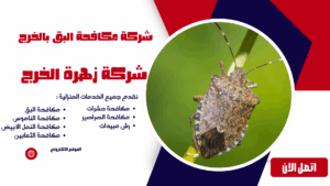 شركة مكافحة البق بالخرج شركة مكافحة البق بالخرج