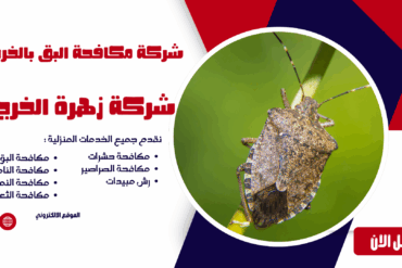 شركة مكافحة النمل بالخرج  0507965175 أقوى خدمات القضاء على النمل بضمان فعالية طويلة المدى