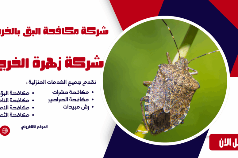 شركة مكافحة البق بالخرج شركة مكافحة حشرات بالخرج مكافحة حشرات بالخرج شركة رش مبيدات بالخرج افضل شركة مكافحة حشرات بالخرج ابادة الحشرات بالخرج شركة مكافحة النمل الأبيض بالخرج مكافحة النمل الأبيض بالخرج شركة مكافحة الصراصير بالخرج مكافحة الصراصير بالخرج شركة مكافحة الفئران بالخرج مكافحة الفئران بالخرج شركة مكافحة البق بالخرج مكافحة البق بالخرج شركة مكافحة الذباب بالخرج مكافحة الذباب بالخرج شركة مكافحة الناموس بالخرج مكافحة الناموس بالخرج شركة مكافحة العقارب بالخرج مكافحة العقارب بالخرج شركة مكافحة القوارض بالخرج مكافحة القوارض بالخرج شركة مكافحة حشرات منزلية بالخرج مكافحة حشرات المنازل بالخرج شركة مكافحة حشرات للمطاعم بالخرج مكافحة حشرات المطاعم بالخرج شركة مكافحة حشرات للفنادق بالخرج مكافحة حشرات الفنادق بالخرج