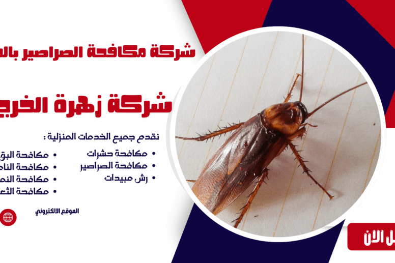 شركة مكافحة الصراصير بالخرج شركة مكافحة حشرات بالخرج مكافحة حشرات بالخرج شركة رش مبيدات بالخرج افضل شركة مكافحة حشرات بالخرج ابادة الحشرات بالخرج شركة مكافحة النمل الأبيض بالخرج مكافحة النمل الأبيض بالخرج شركة مكافحة الصراصير بالخرج مكافحة الصراصير بالخرج شركة مكافحة الفئران بالخرج مكافحة الفئران بالخرج شركة مكافحة البق بالخرج مكافحة البق بالخرج شركة مكافحة الذباب بالخرج مكافحة الذباب بالخرج شركة مكافحة الناموس بالخرج مكافحة الناموس بالخرج شركة مكافحة العقارب بالخرج مكافحة العقارب بالخرج شركة مكافحة القوارض بالخرج مكافحة القوارض بالخرج شركة مكافحة حشرات منزلية بالخرج مكافحة حشرات المنازل بالخرج شركة مكافحة حشرات للمطاعم بالخرج مكافحة حشرات المطاعم بالخرج شركة مكافحة حشرات للفنادق بالخرج مكافحة حشرات الفنادق بالخرج