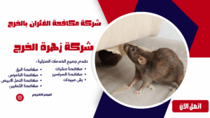 شركة مكافحة الفئران بالخرج