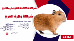 شركة مكافحة القوارض بالخرج شركة مكافحة القوارض بالخرج