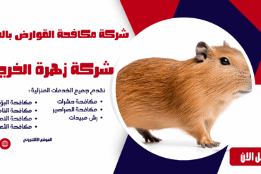 شركة مكافحة الفئران بالخرج