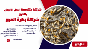 شركة مكافحة النمل الابيض بالخرج شركة مكافحة النمل الابيض بالخرج