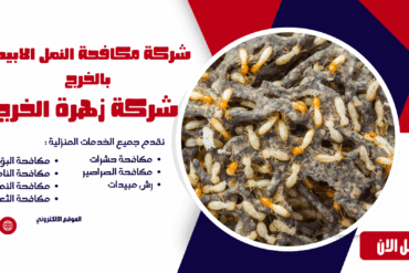 شركة مكافحة الصراصير بالخرج 0507965175 الحل الأمثل للقضاء على الصراصير