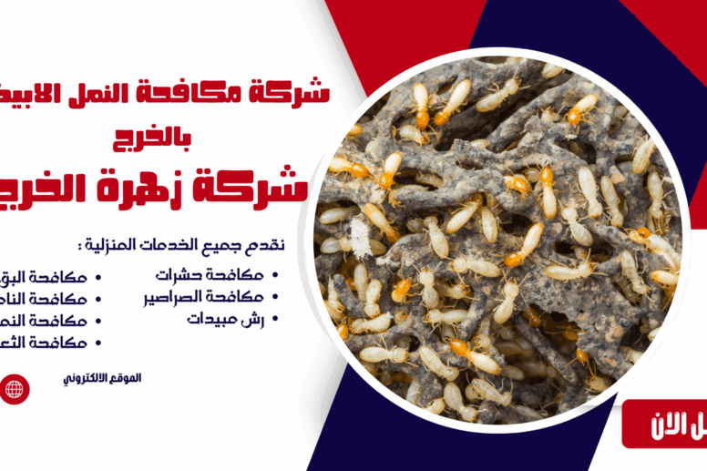 شركة مكافحة النمل الابيض بالخرج
