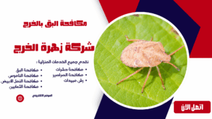 مكافحة البق بالخرج مكافحة البق بالخرج