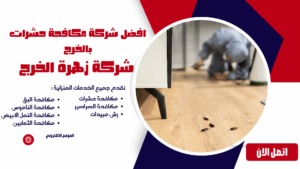 افضل شركة مكافحة حشرات بالخرج