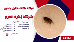 شركة مكافحة البق بالخرج شركة مكافحة البق بالخرج