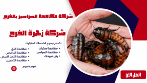 شركة مكافحة الصراصير بالخرج شركة مكافحة الصراصير بالخرج