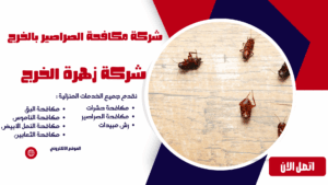 شركة مكافحة الصراصير بالخرج