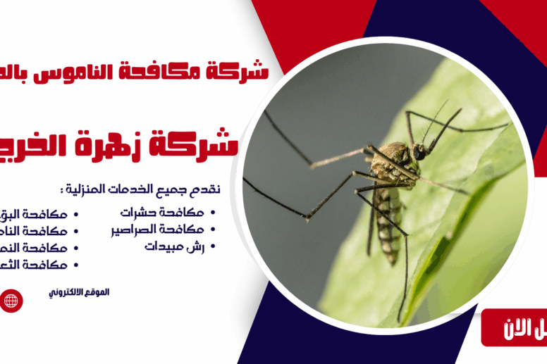 شركة مكافحة الناموس بالخرج شركة مكافحة حشرات بالخرج مكافحة حشرات بالخرج شركة رش مبيدات بالخرج افضل شركة مكافحة حشرات بالخرج ابادة الحشرات بالخرج شركة مكافحة النمل الأبيض بالخرج مكافحة النمل الأبيض بالخرج شركة مكافحة الصراصير بالخرج مكافحة الصراصير بالخرج شركة مكافحة الفئران بالخرج مكافحة الفئران بالخرج شركة مكافحة البق بالخرج مكافحة البق بالخرج شركة مكافحة الذباب بالخرج مكافحة الذباب بالخرج شركة مكافحة الناموس بالخرج مكافحة الناموس بالخرج شركة مكافحة العقارب بالخرج مكافحة العقارب بالخرج شركة مكافحة القوارض بالخرج مكافحة القوارض بالخرج شركة مكافحة حشرات منزلية بالخرج مكافحة حشرات المنازل بالخرج شركة مكافحة حشرات للمطاعم بالخرج مكافحة حشرات المطاعم بالخرج شركة مكافحة حشرات للفنادق بالخرج مكافحة حشرات الفنادق بالخرج