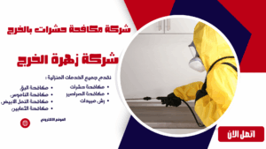شركة مكافحة حشرات بالخرج