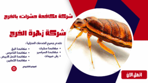 شركة مكافحة حشرات بالخرج (9) شركة مكافحة حشرات بالخرج